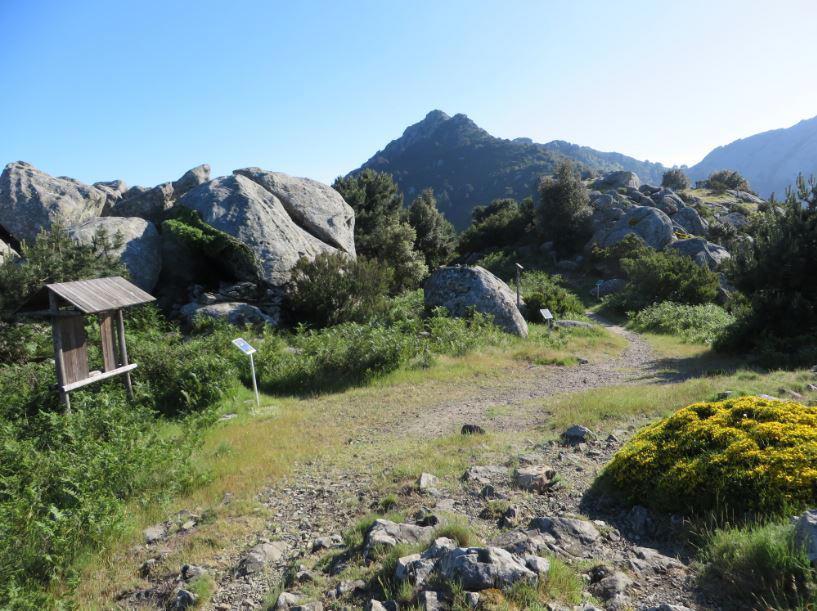 Un sentiero sul monte Capanne