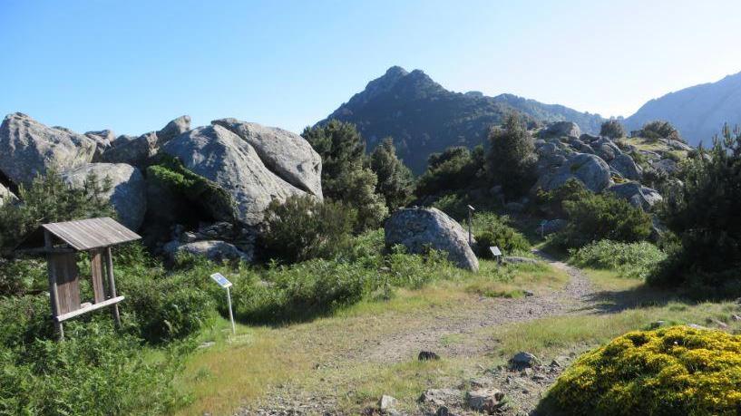 Un sentiero sul monte Capanne