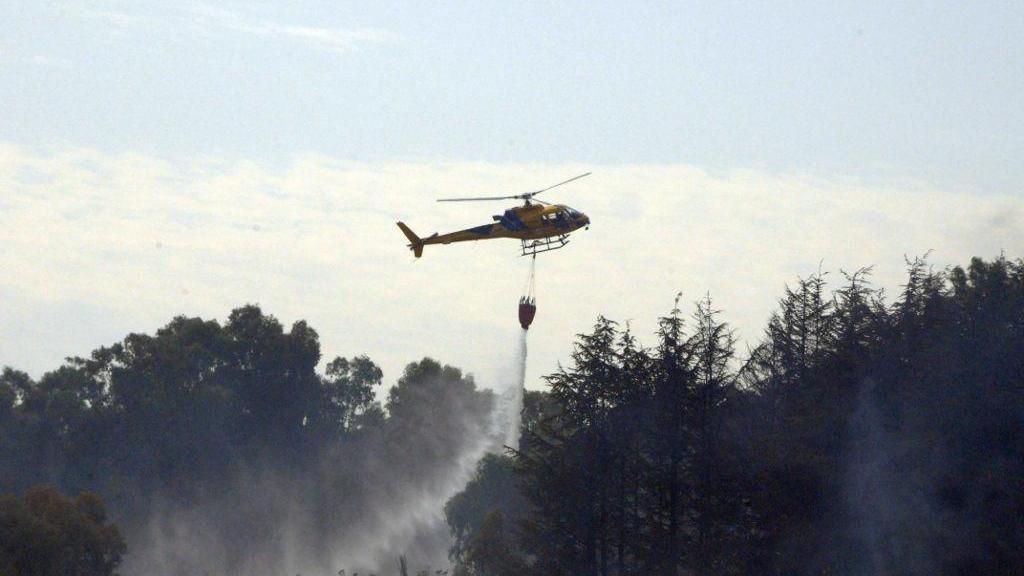 Vasto incendio nelle campagne tra Arzachena e Luogosanto