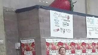Fragola, che bontà Marsiliana apre la sagra