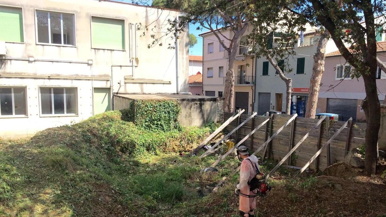 Sfalcio dell’erba e pulizie negli ex uffici di via Boccaccio