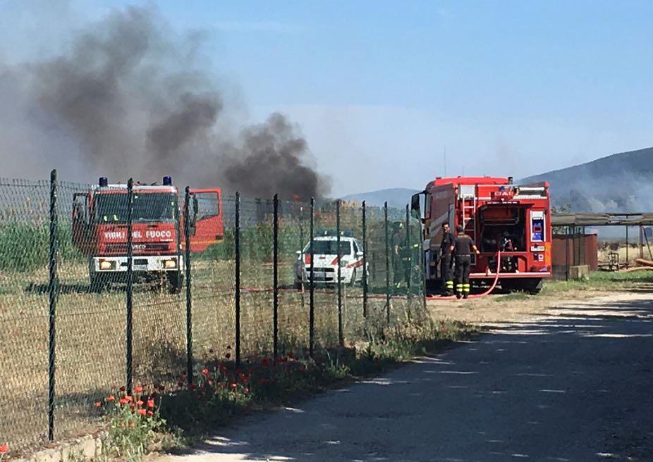 Fiamme nei campi, ipotesi dolosa 