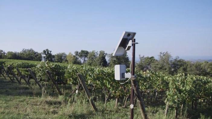 Il dispositivo a ultrasuoini, alimentato da un pennello solare, che allontana cinghaili e caprioli