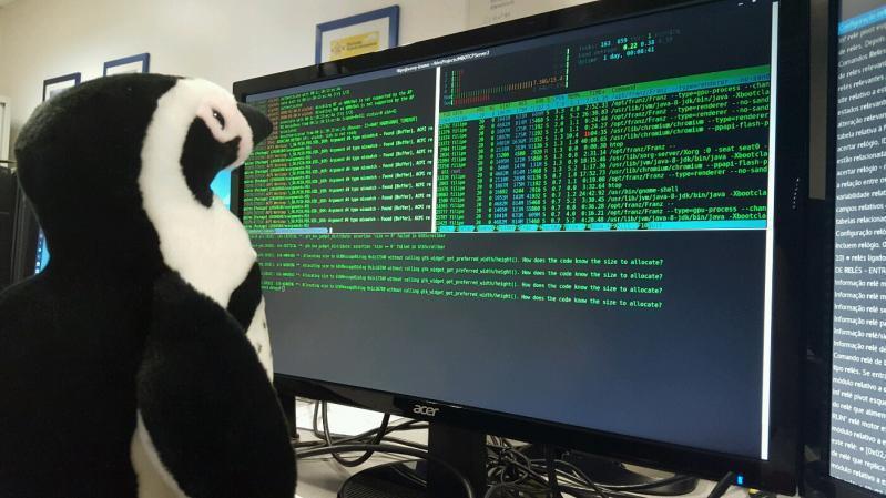 Attacchi informatici: cercasi donatori di impronte digitali per studiare sistemi di difesa