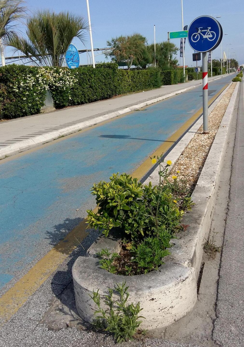 La disastrata pista ciclabile che costeggia il viale Bernardini a Lido di Camaiore