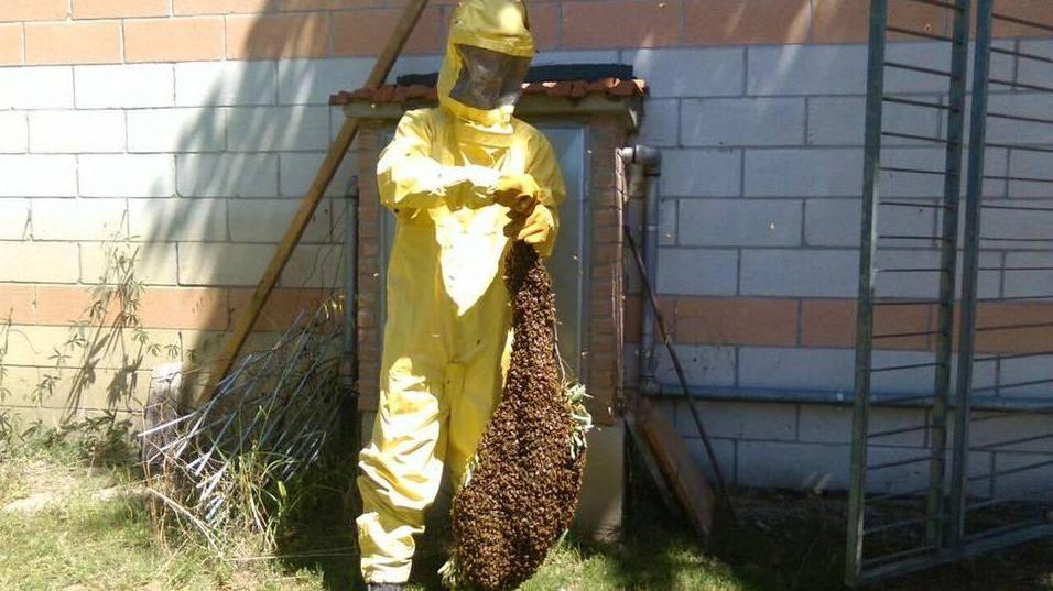 Sciami d’api, tanta paura in città