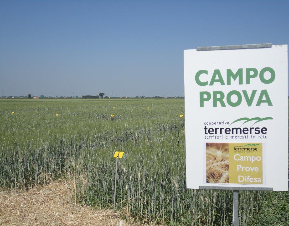 Settore carni e pomodoro gli obiettivi di Terremerse 