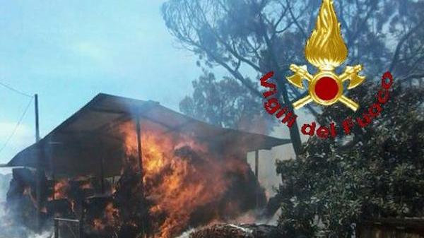 Capannone e bosco in fiamme, tre incendi in poche ore