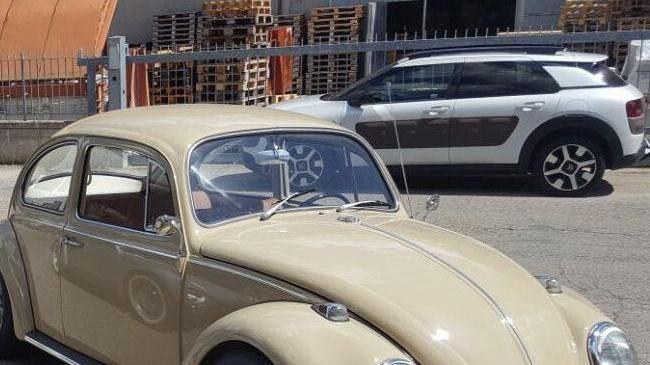 Debutta a Pavullo la prima edizione della “Maggiolonga”