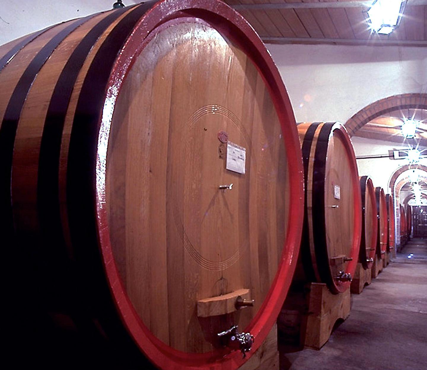 Torna Cantine aperte: viaggio per scoprire il nettare di Bacco 