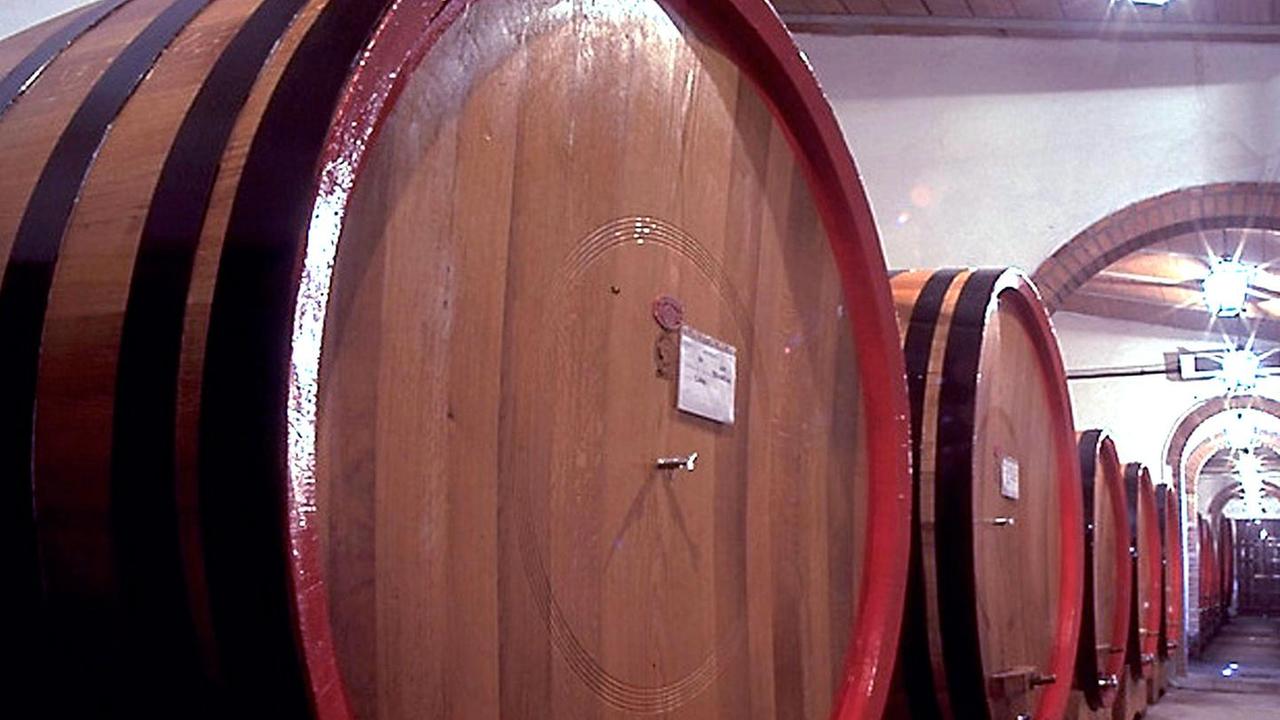 Torna Cantine aperte: viaggio per scoprire il nettare di Bacco