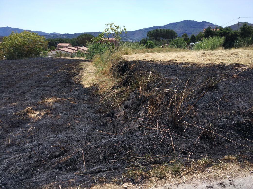 Il terreno incendiato ad Albereto