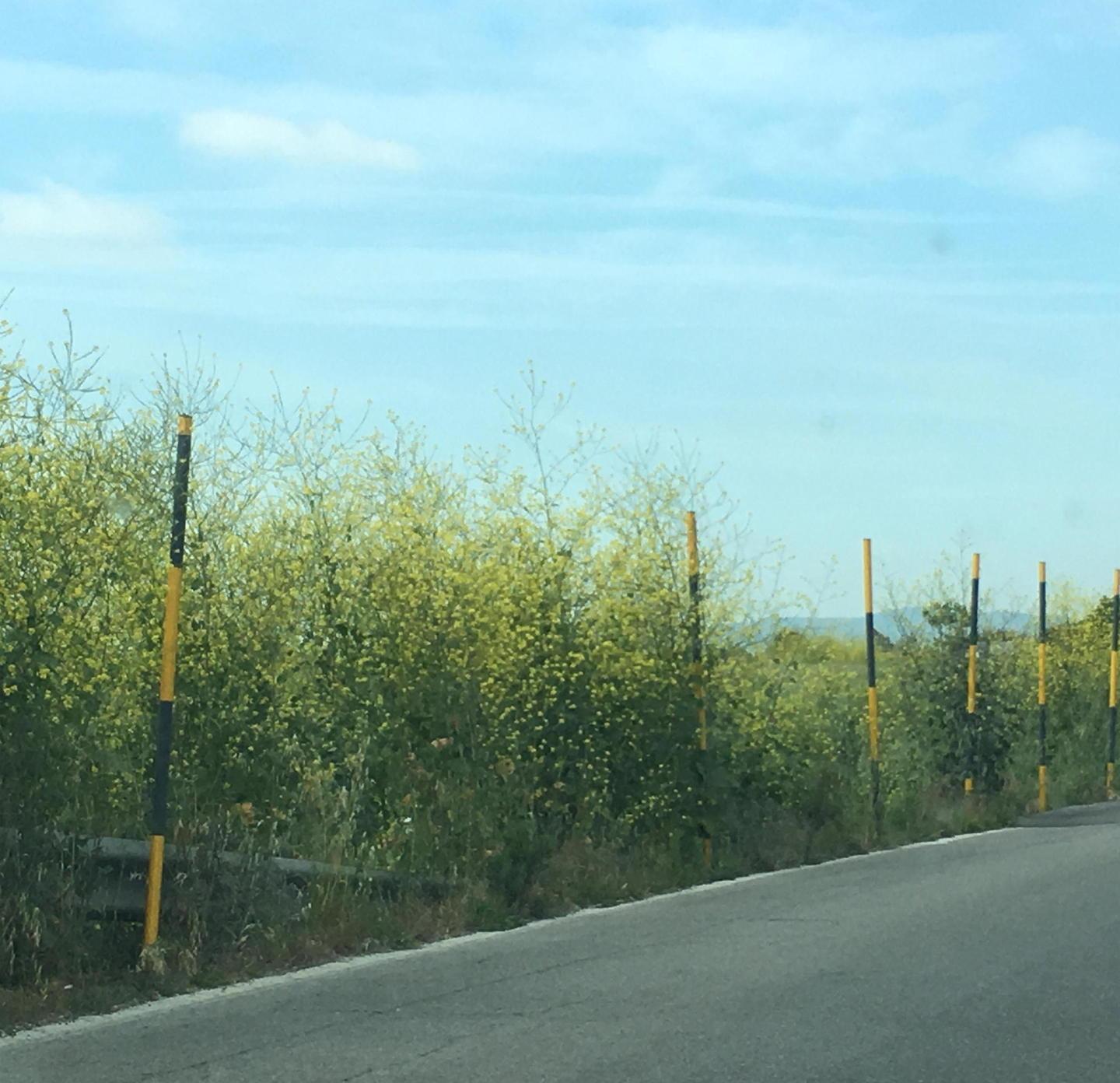 Tempi brevi per la sostituzione del guard rail