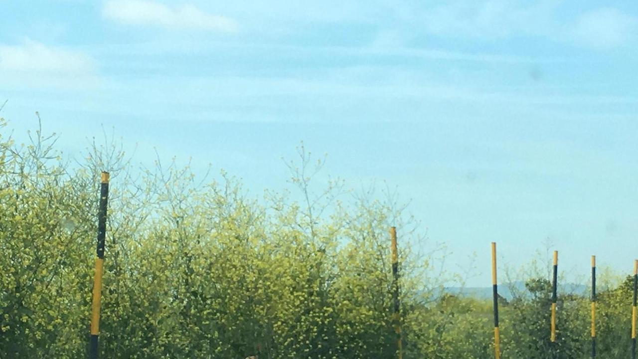 Tempi brevi per la sostituzione del guard rail