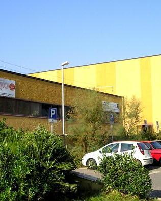 Ok al progetto per la palestra Picchi 