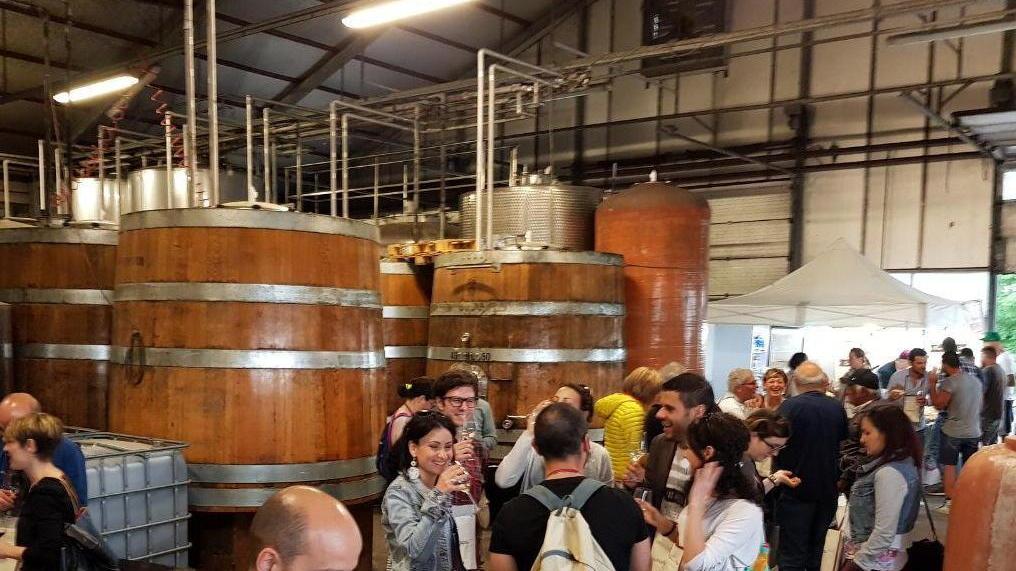 Successo di pubblico per la nuova formula di Vinaria