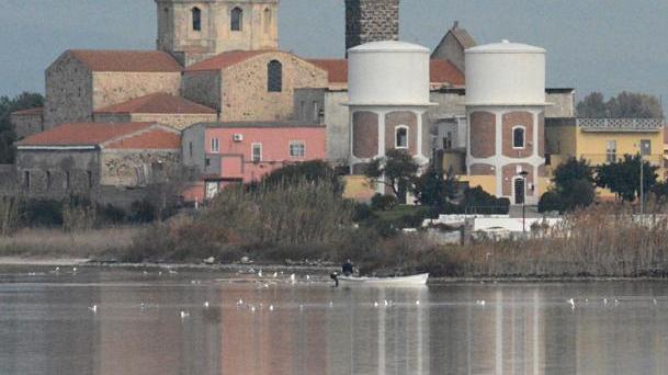 I cormorani incubo dei pescatori: ipotesi doppiette per abbatterli, il no degli ambientalisti