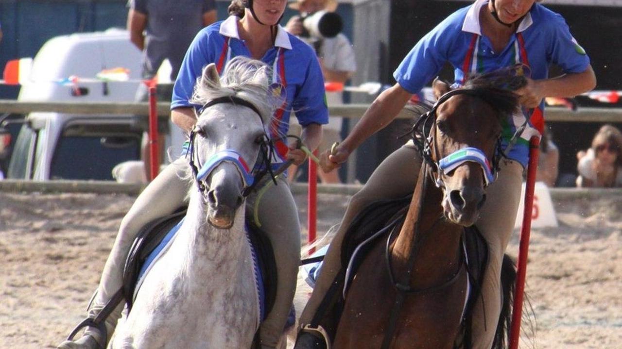 Campionato regionale Pony al centro Siete Fuentes