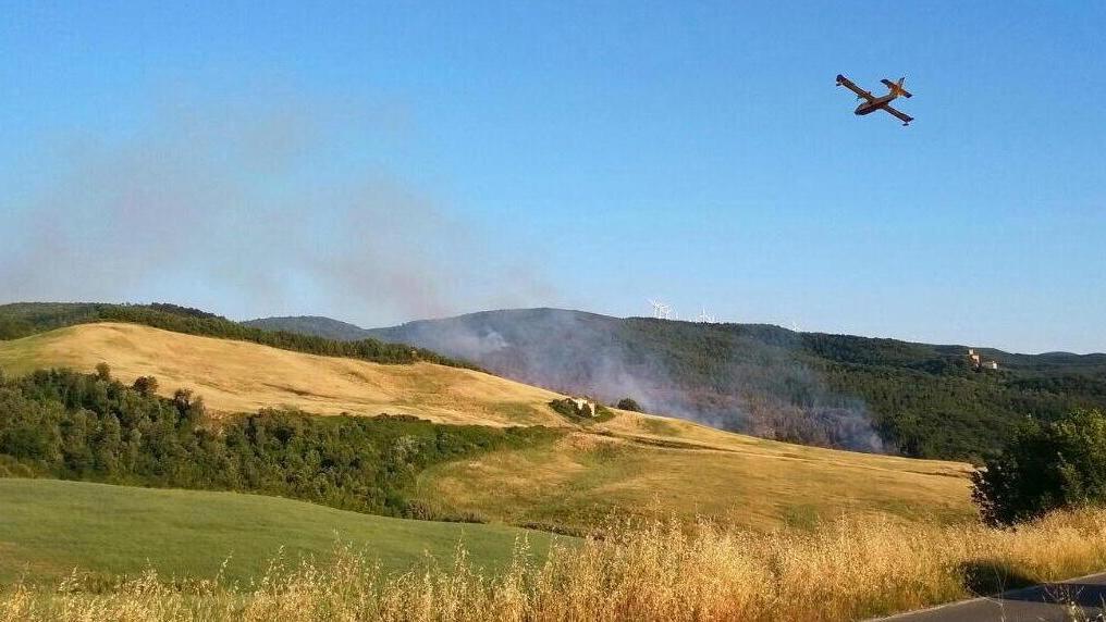 A fuoco 25 ettari di bosco a Casciana