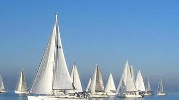 Etrusca’s Cup, oggi il rientro delle imbarcazioni in porto