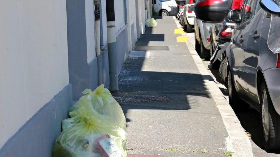 Rifiuti, cambia il porta a porta ecco le novità per la raccolta