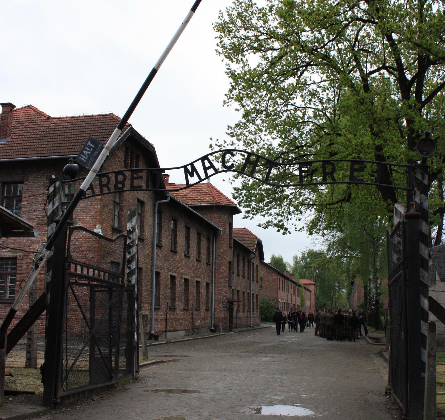 Le fiabe di Auschwitz narrate a RinNovellando
