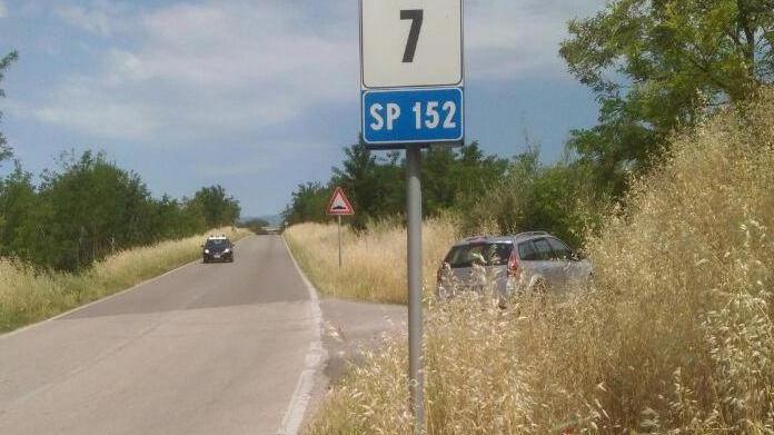 Erba alta al Bottegone «Automobilisti a rischio»