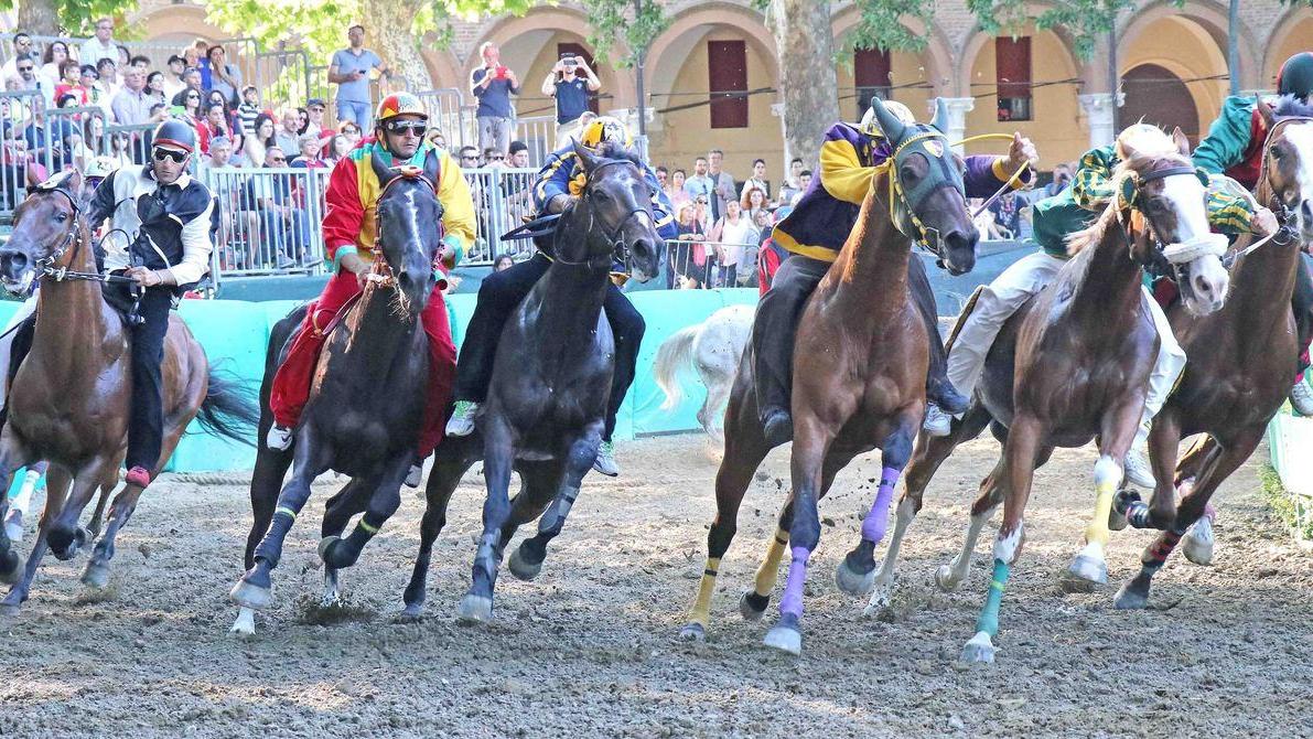 «Sbatto fuori il cavallo che calcerà due volte»