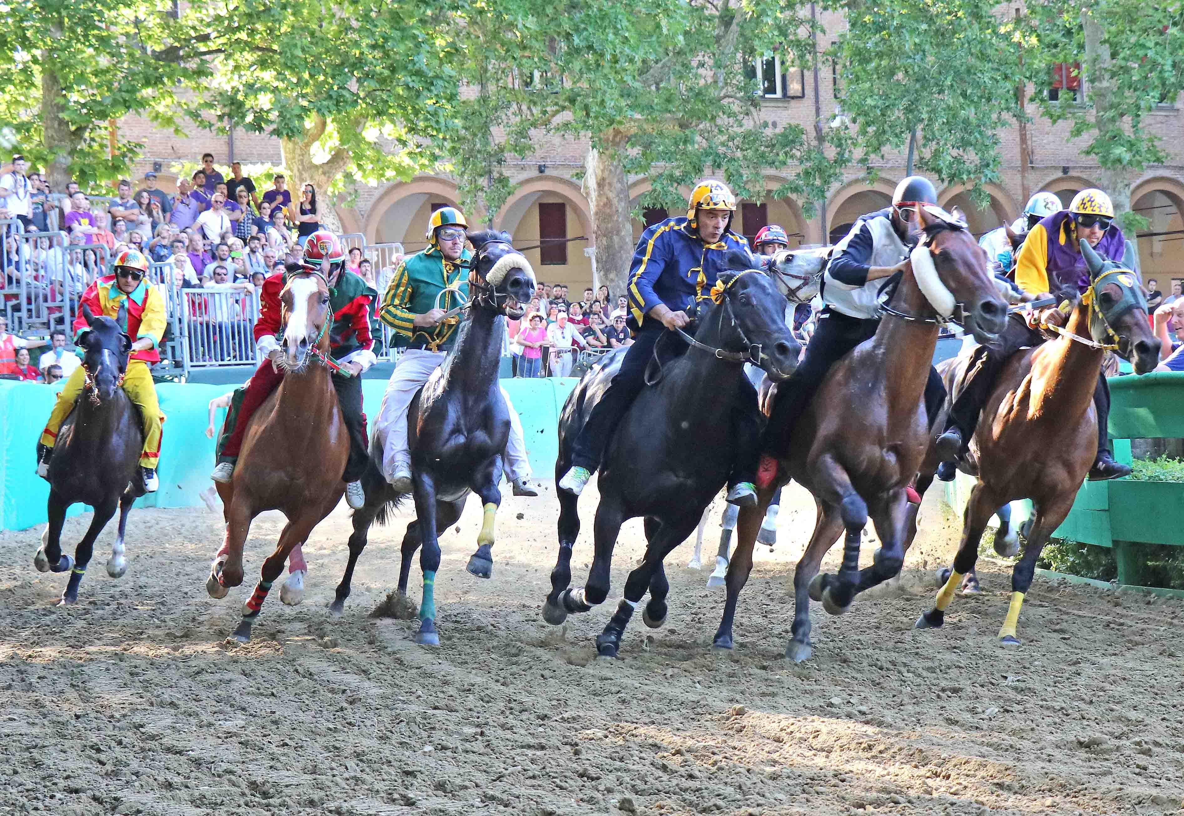 Palio, un momento delle prove