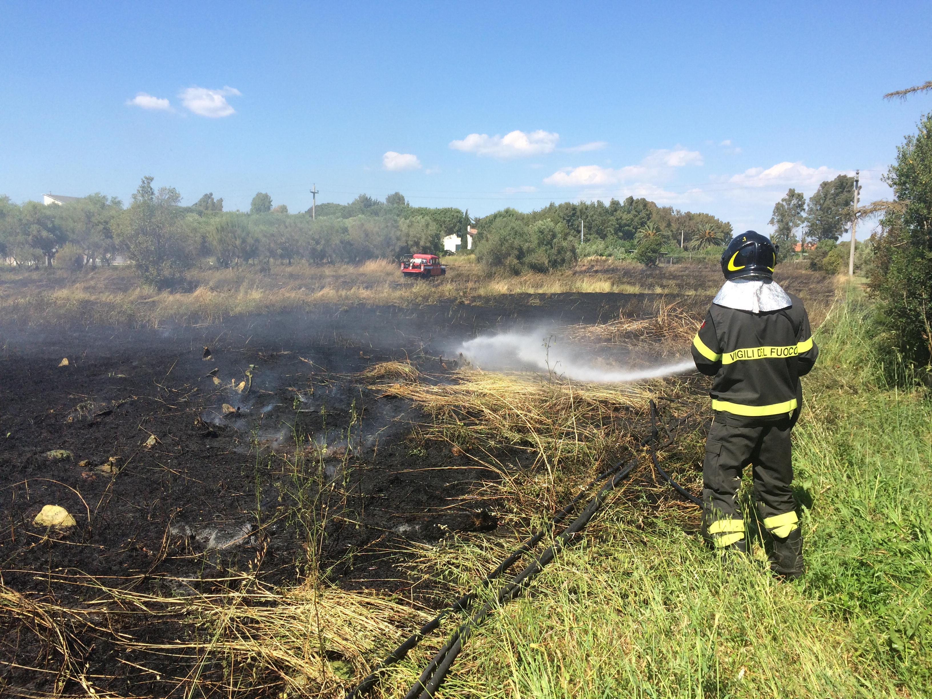 Vigili del fuoco al lavoro al Cedrino per domare l'incendio (foto Falorni/Silvi)