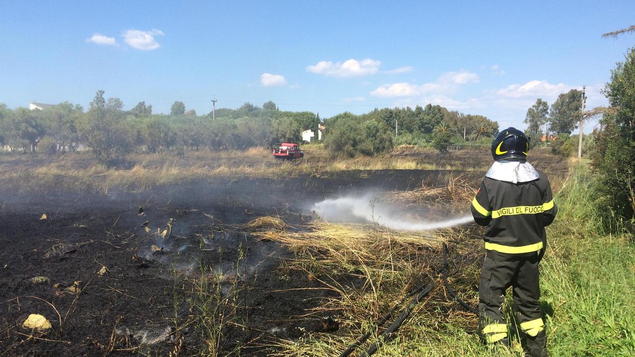 Vigili del fuoco al lavoro al Cedrino per domare l'incendio (foto Falorni/Silvi)