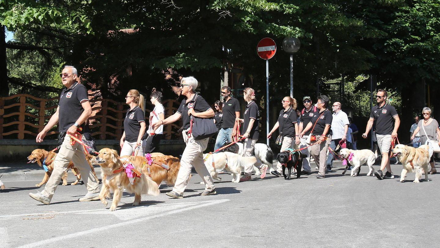 La sfilata dei cani per le vie del centro di MOntecatini (Foto Nucci)
