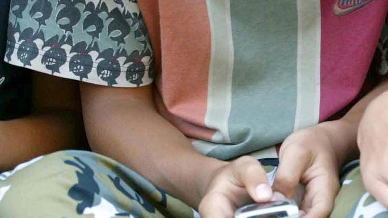 Web e adolescenza Incontri e rischi