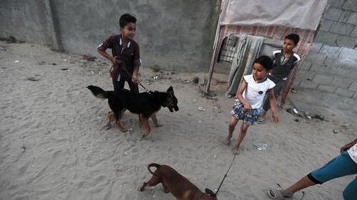 Gaza: Hamas, 'niente cani in spiaggia'