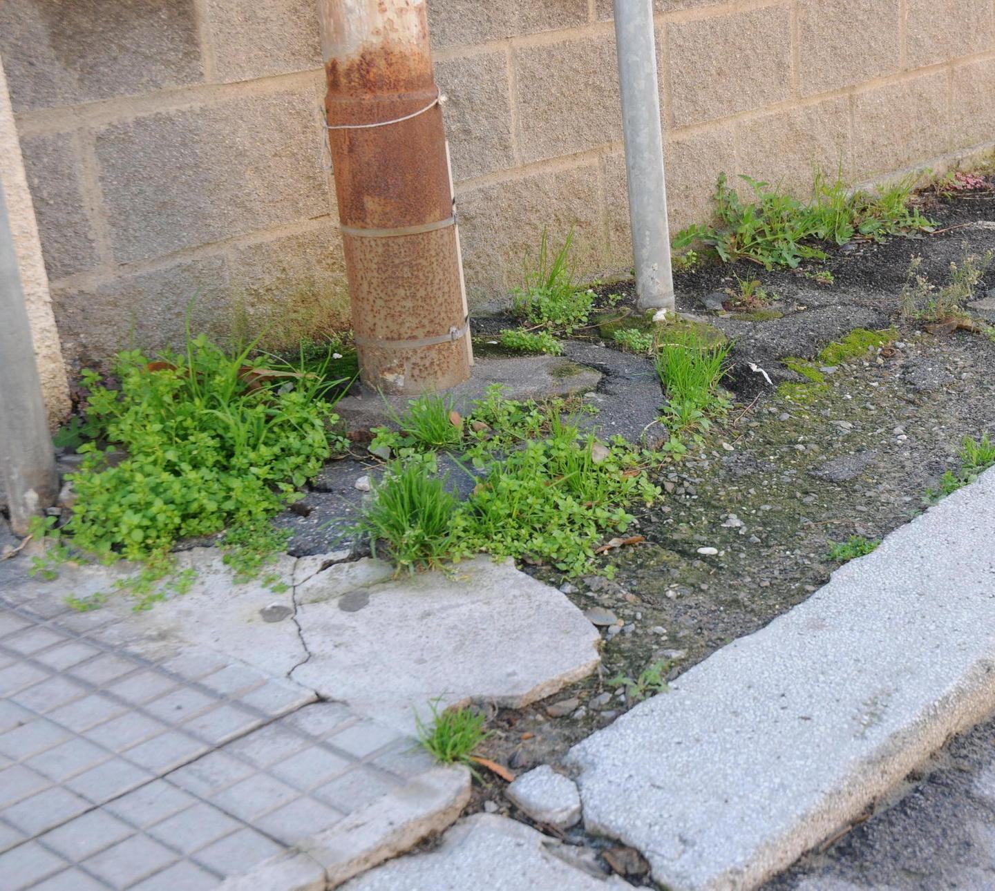 Via le erbacce dalle strade Alla pulizia ci pensa Sei 