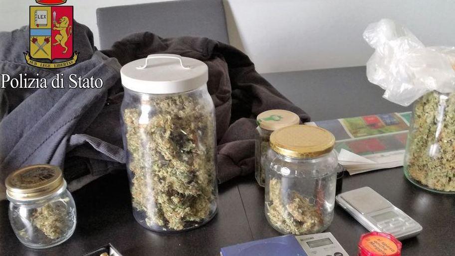 Operai e coltivatori di marijuana