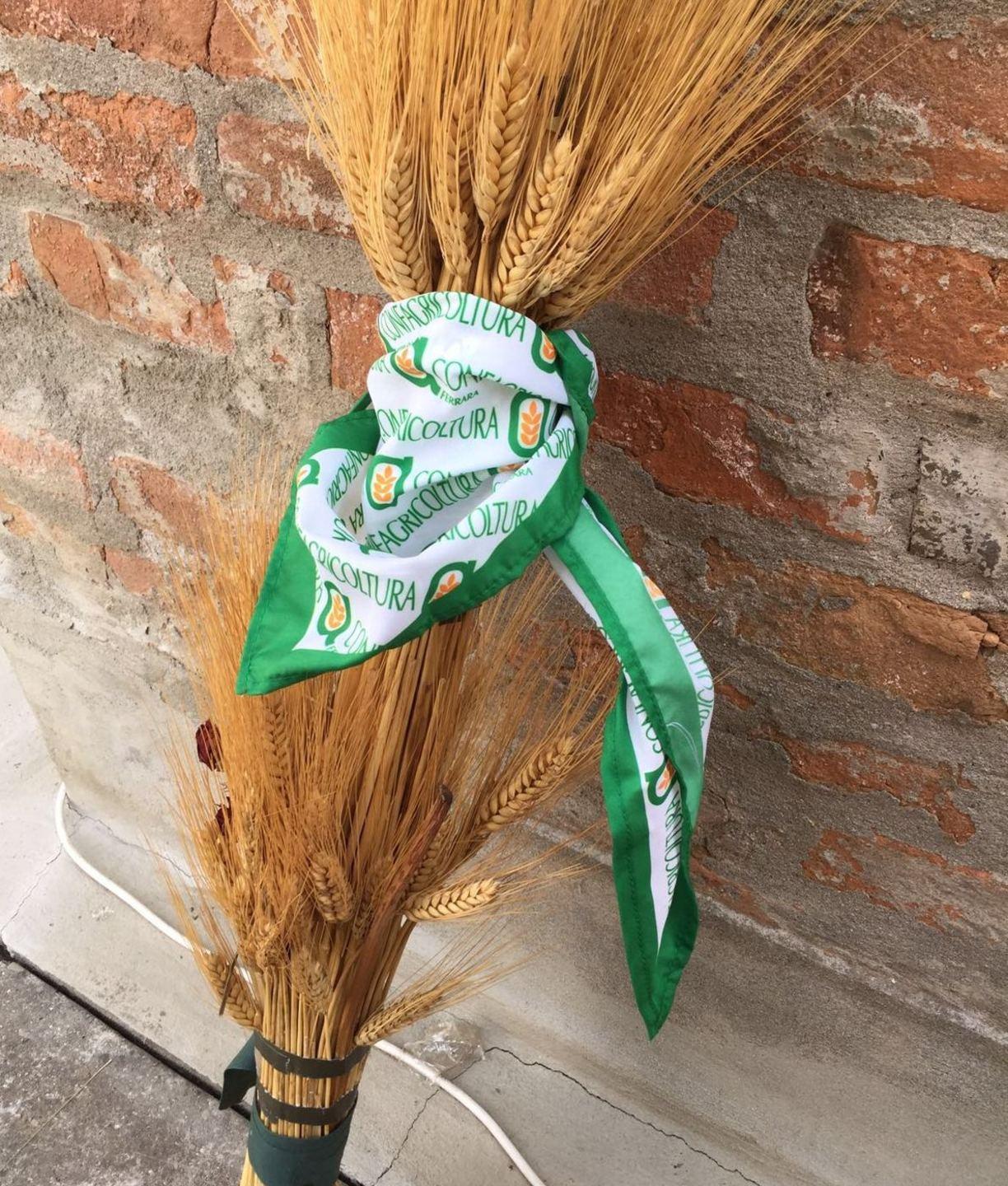 Meno superfici per grano e mais 