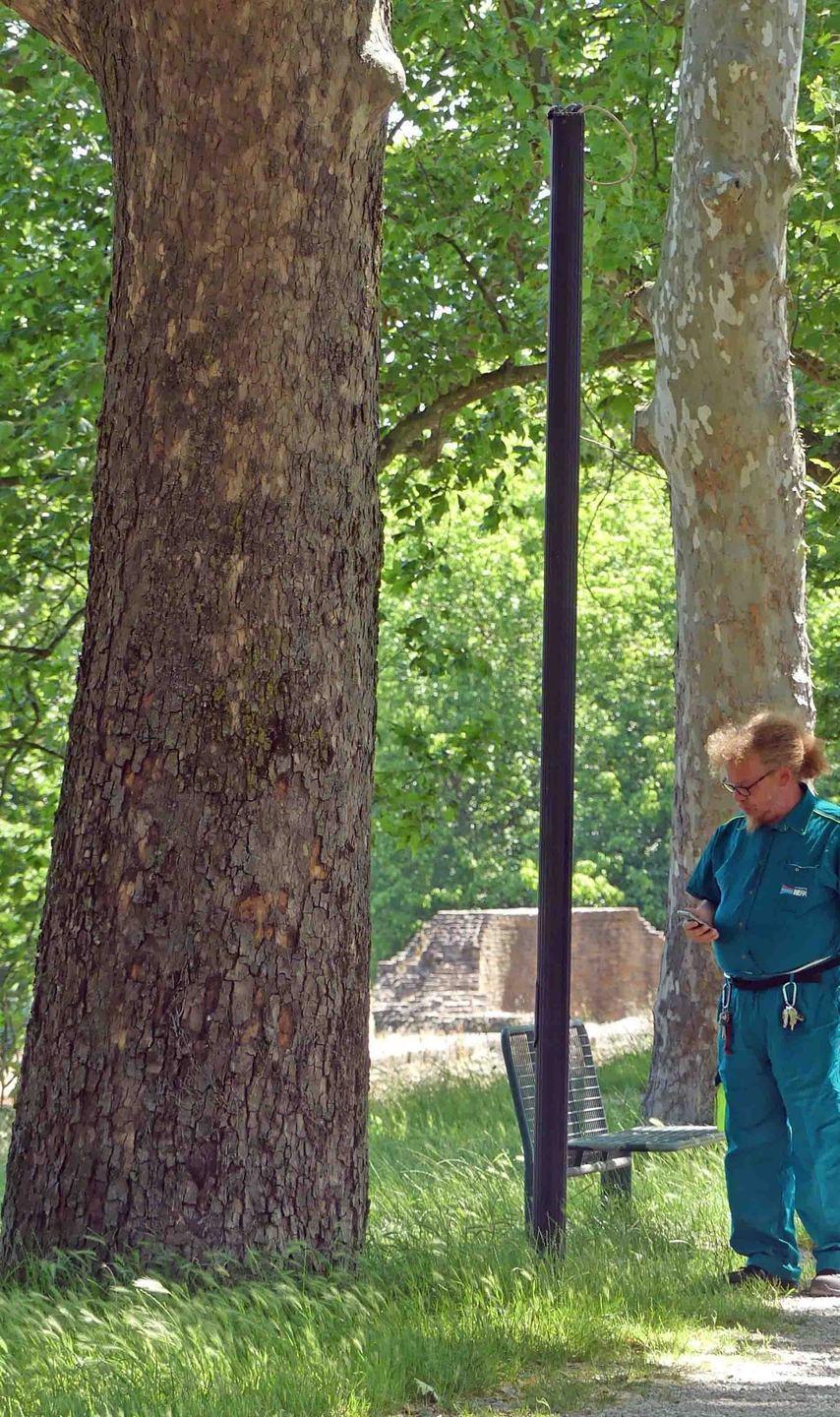 Decapitati 5 lampioni nel percorso delle Mura 