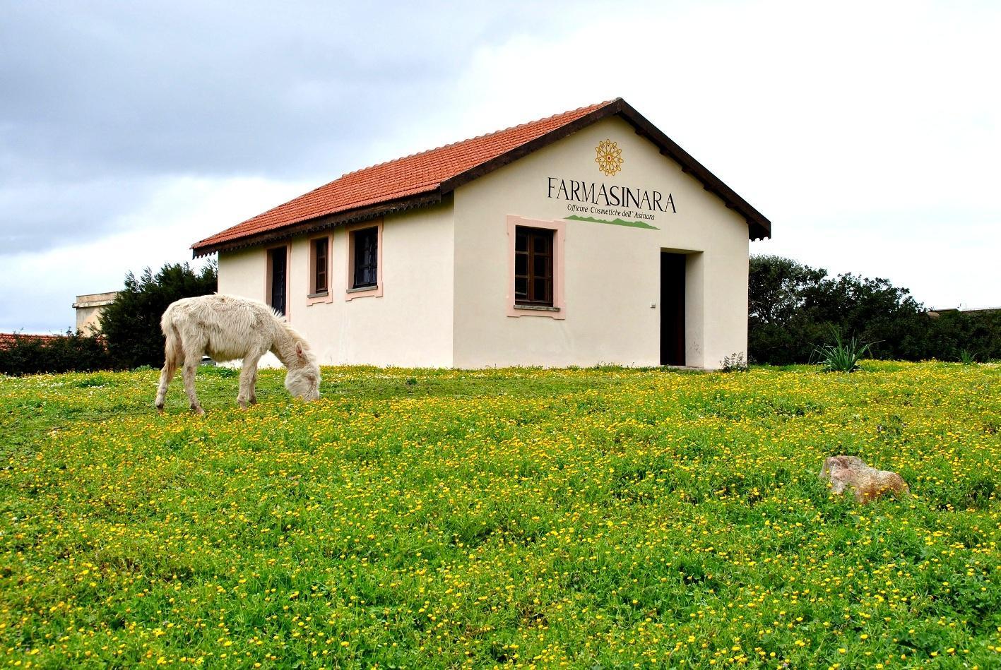 Asinara serbatoio naturale di cosmetici