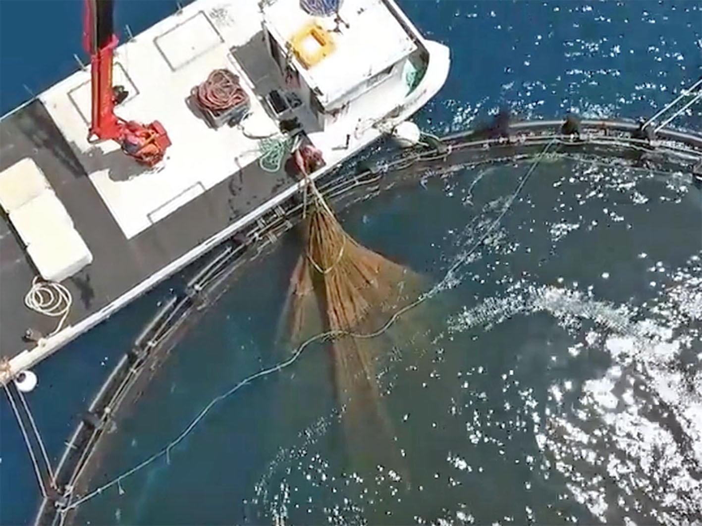 Fondi europei, tre milioni per lo sviluppo della pesca in Toscana