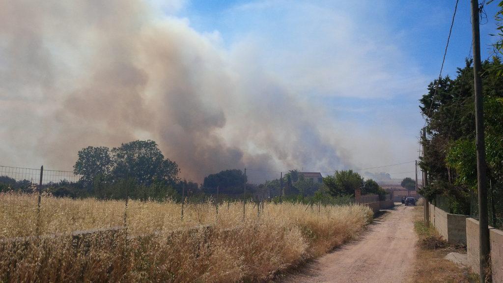 Incendio a Monte Rasu (foto Santoni)