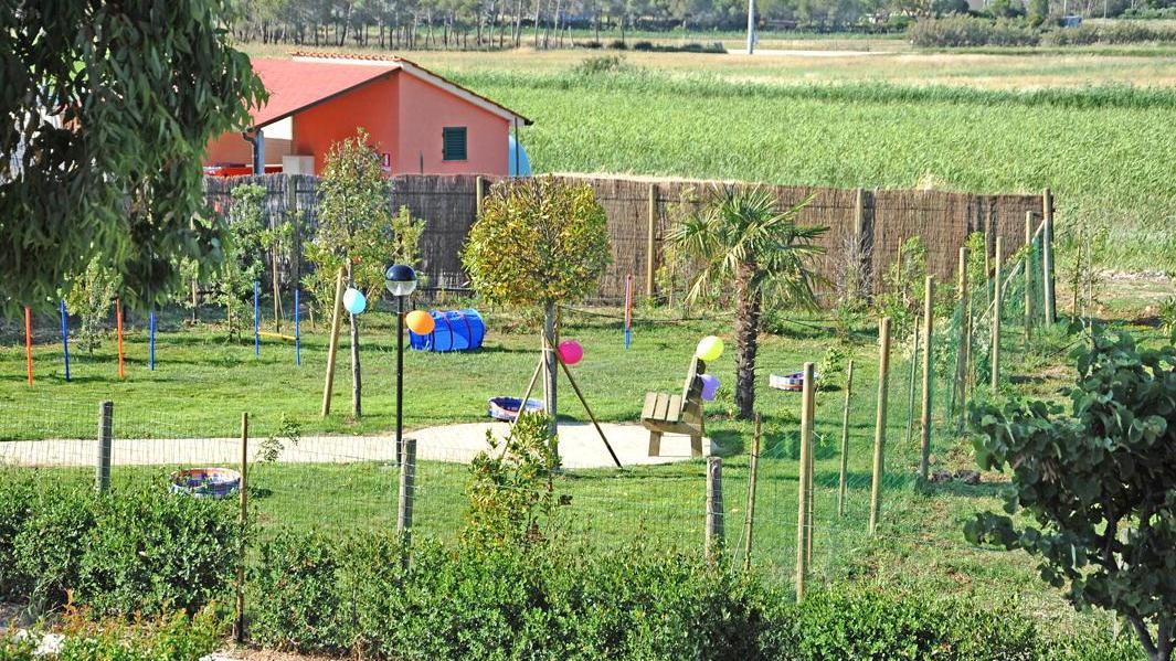 Il parco giochi per cani alla Rosa dei venti della Mazzanta