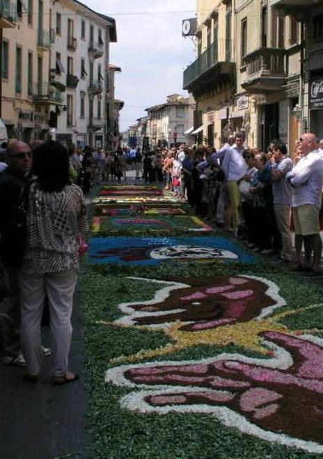 Un tappeto di 50 opere con trentamila garofani 