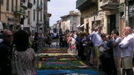 Un tappeto di 50 opere con trentamila garofani