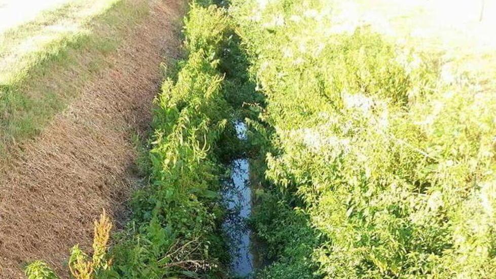 I cittadini pagano ma i fossi restano invasi dall’erba