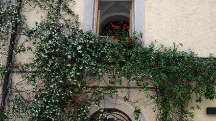 Con Balconi in fiore profumi e colori nelle vie del borgo