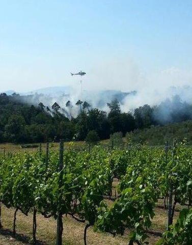 Incendio nel bosco Elicotteri in azione 