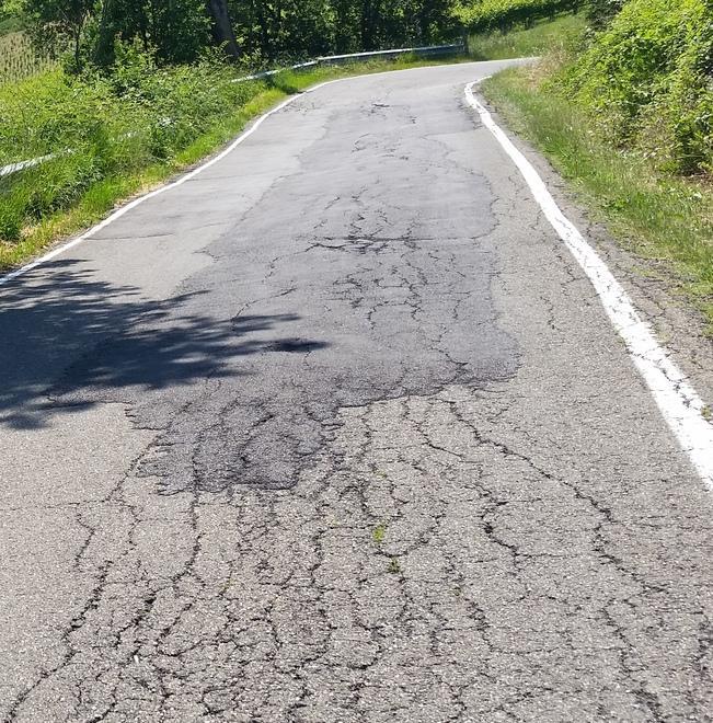 Barbolini e Zannoni: «Strade dissestate e incuria nei parchi»