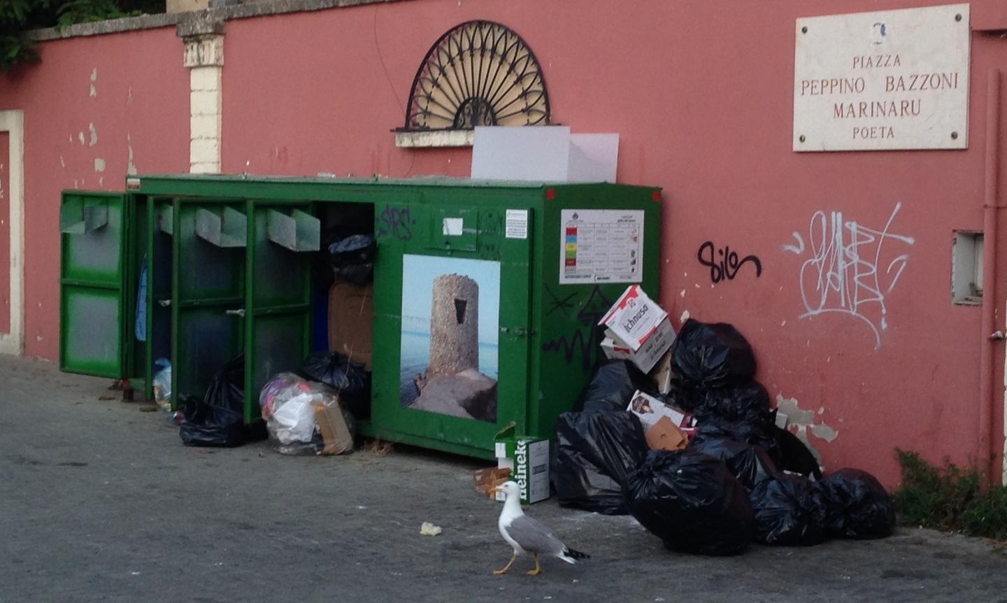 L’isola ecologica è una discarica