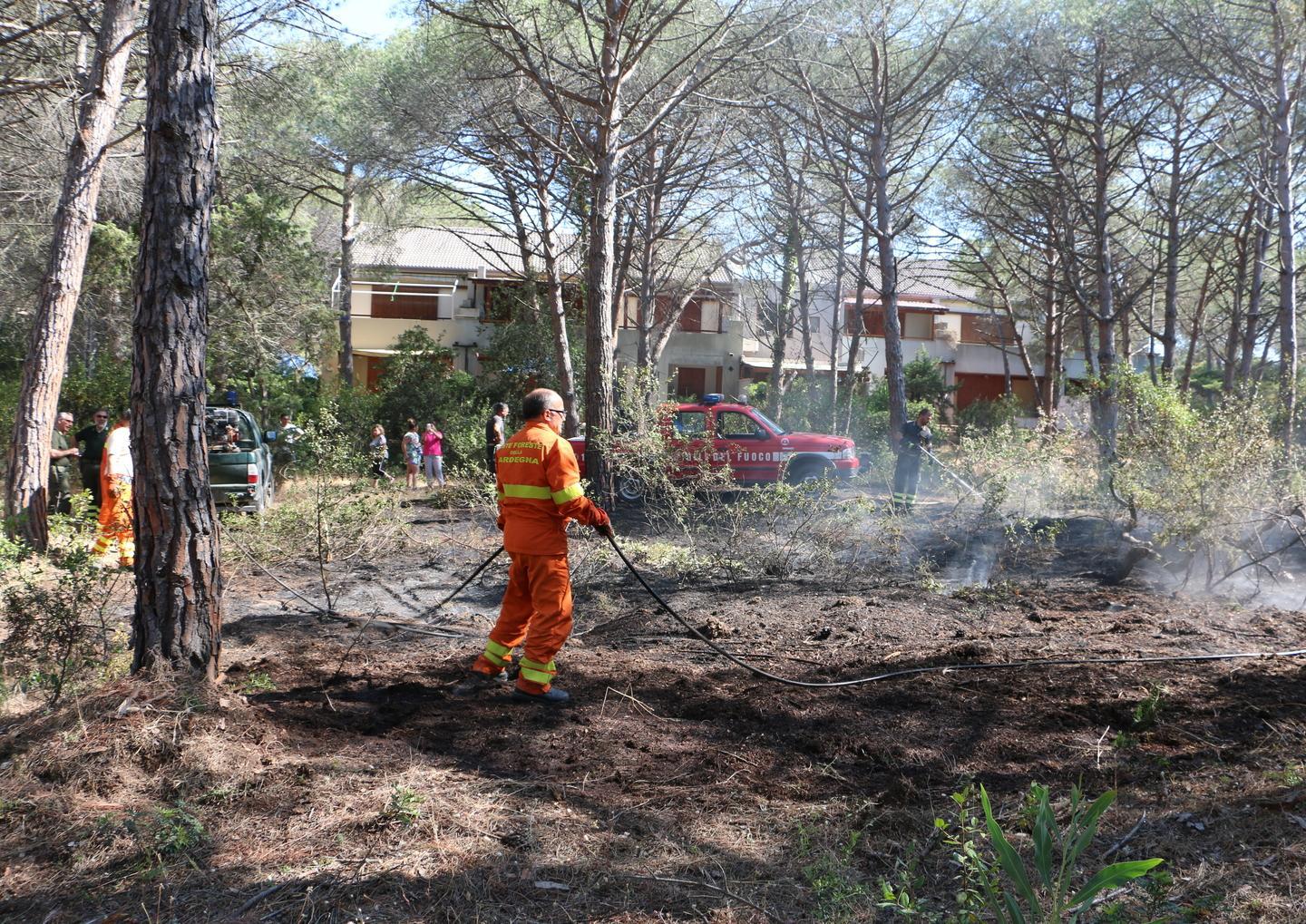 Fiamme nella pineta, momenti di paura ad Arboriamar